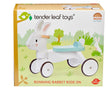 Tender Leaf Rabbit Bike - Little Whispers