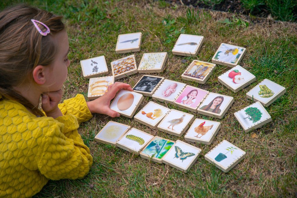 TickiT Woodland Lifecycle Educational Tiles - Little Whispers