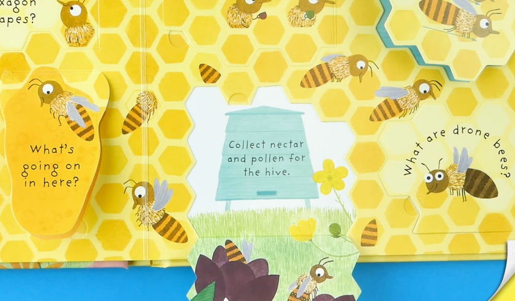 Why do we need Bees? First Questions and Answers Board Book - Little Whispers