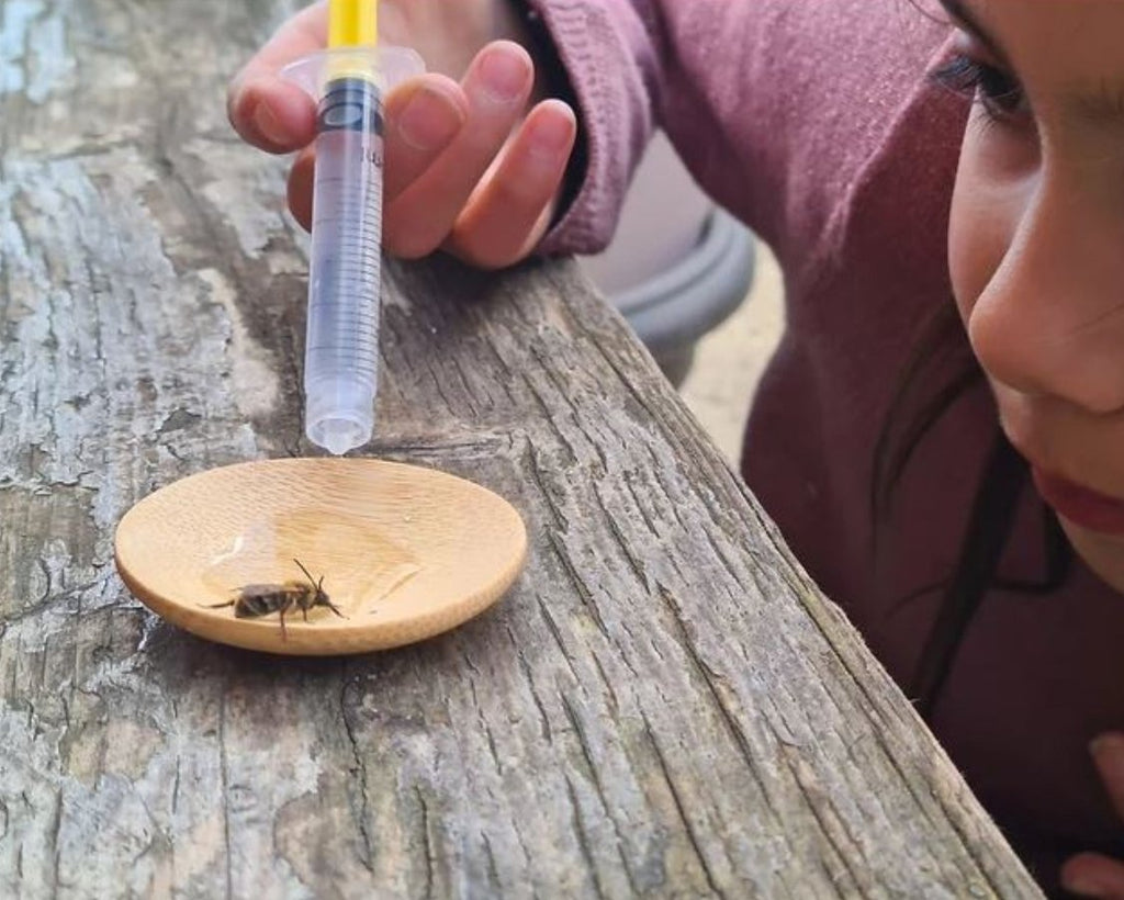 Why do we need Bees Story Sack with the Nature Bee Kit - Little Whispers