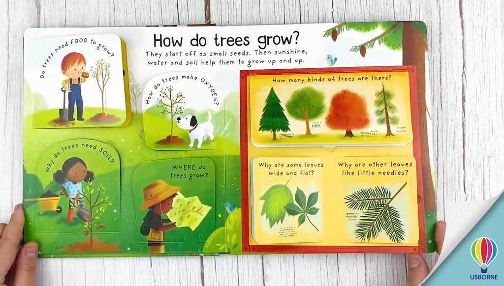 Why do we need Trees? First Questions and Answers Board Book - Little Whispers