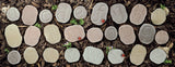 Yellow Door Feels-Write Lowercase Letter Stones YD1028 - Little Whispers