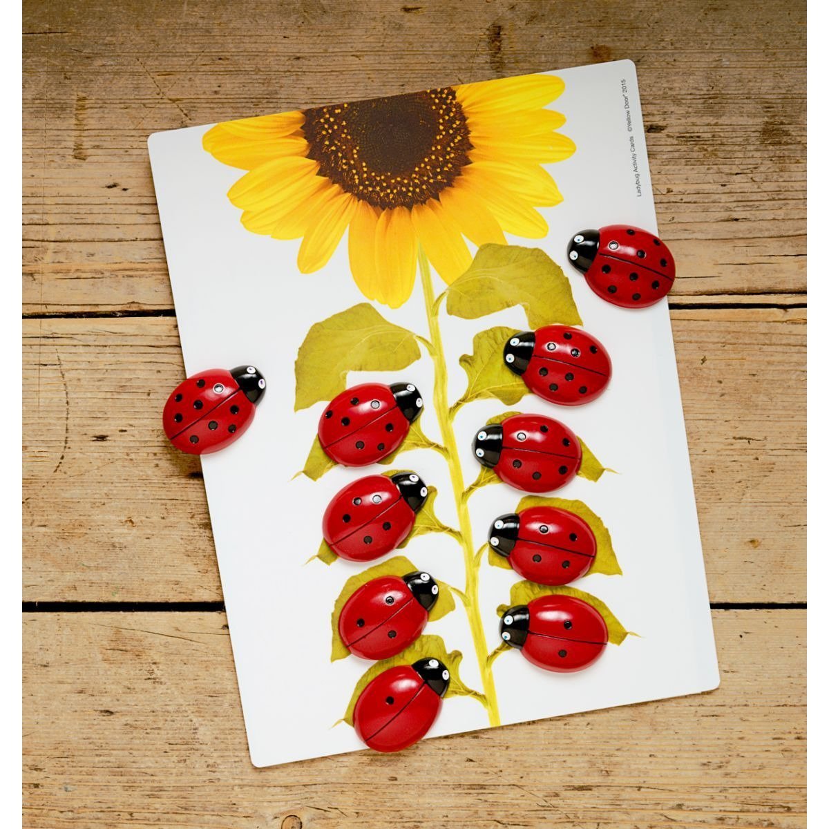 Yellow Door Ladybugs Counting Stones - Little Whispers